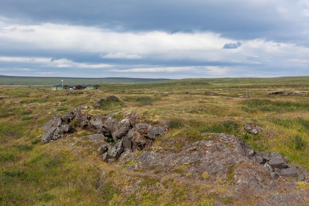Paesaggio del giacimento di lava cotto Islanda