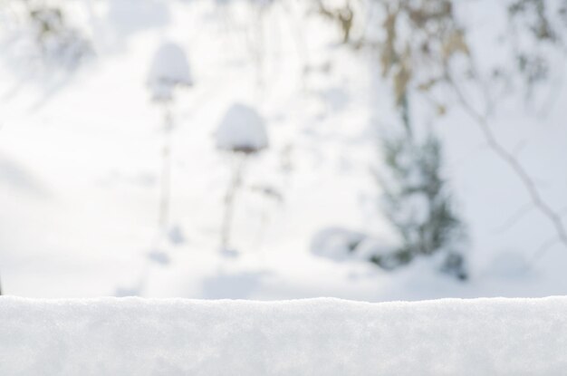 Paesaggio del giardino d'inverno con cumuli di neve Sfondo sfocato astratto inverno Sfondo del giardino d'inverno con cumuli di neve