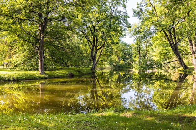 Paesaggio del giardino del parco estivo con un laghetto delle anatre