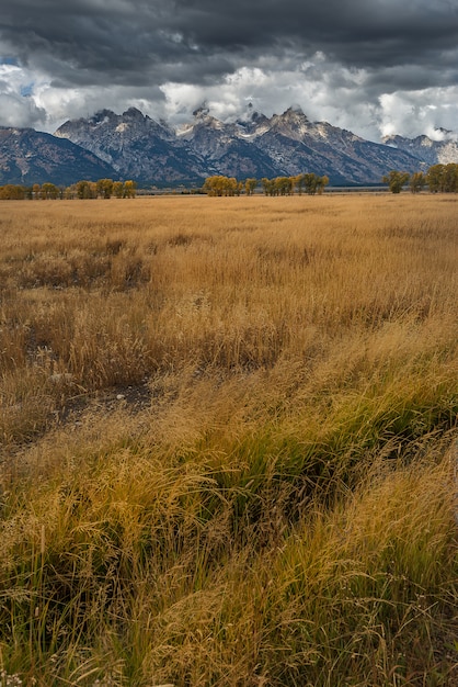 Paesaggio del Grand Teton National Park