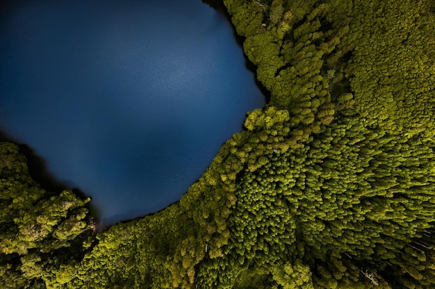 Paesaggio del lago blu nella foresta