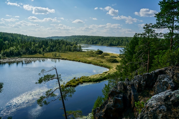 Paesaggio del lago con alberi