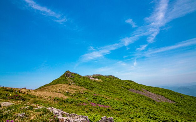 Paesaggio del monte Mudeungsan a Gwangju, in Corea del Sud