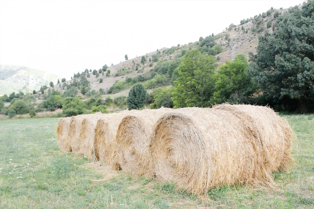 Paesaggio del paese