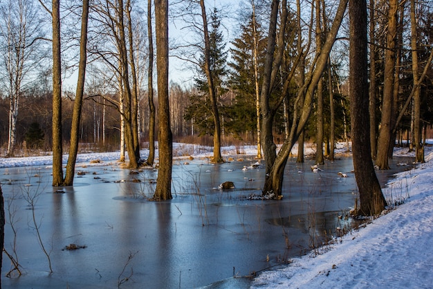 Paesaggio del parco di primavera con la neve. L&#39;inizio della primavera Paesaggio di marzo