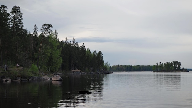 Paesaggio del parco. Il confine del bosco e il lago nel parco del Monrepo. Vyborg, regione di Leningrado