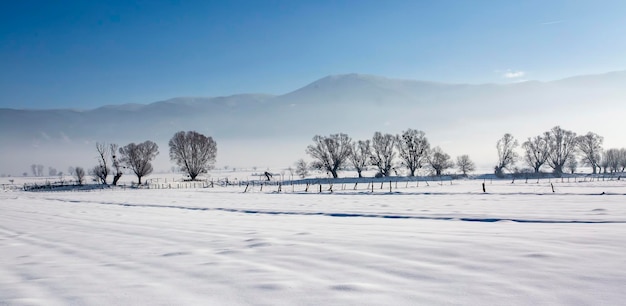 Paesaggio del parco naturale della neve invernale di Bolu, Turchia