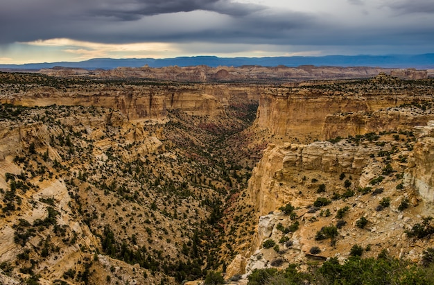 Paesaggio del parco nazionale di Canyonlands