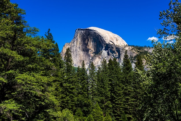 Paesaggio del parco nazionale di Yosemite, fotografia di paesaggio.