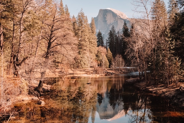 Paesaggio del parco nazionale di Yosemite