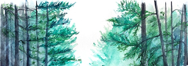 Paesaggio del pino della foresta di legno di inverno del turchese dell'acquerello