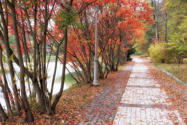 Paesaggio del sentiero del parco di autunno