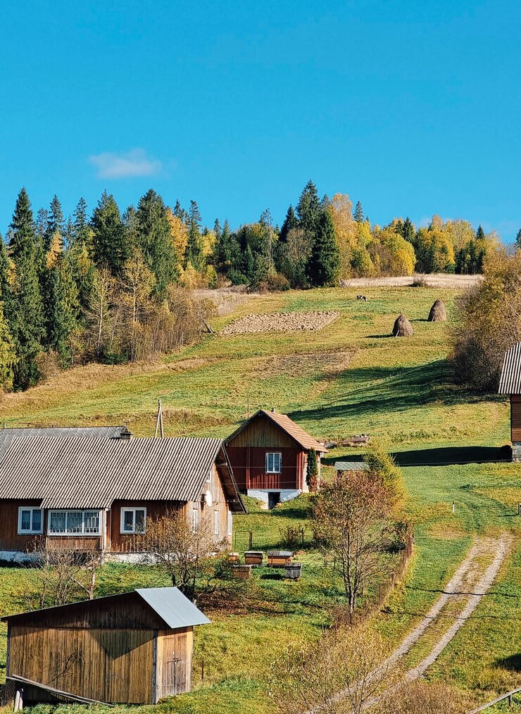 Paesaggio del villaggio di montagne autunnali in Ucraina