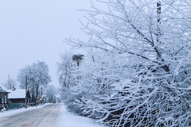 Paesaggio del villaggio strada del villaggio coperta di neve strada che si estende in lontananza