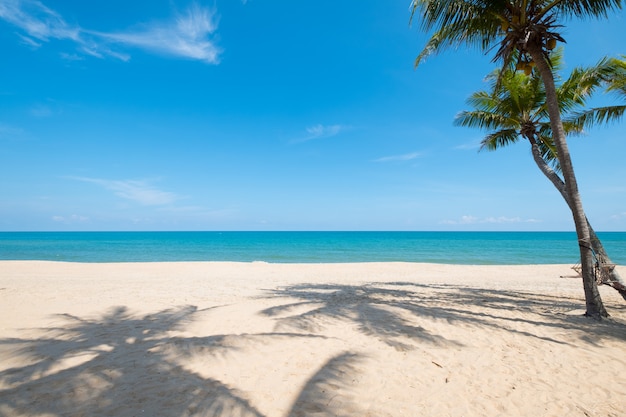 Paesaggio dell&#39;albero del cocco sulla spiaggia tropicale di estate