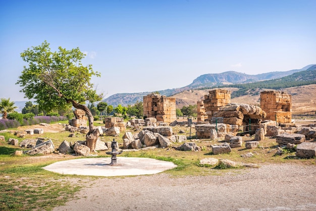 Paesaggio dell'antica città di Hierapolis e fontanella Pamukkale Turkiye