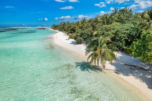 Paesaggio dell'isola aerea delle Maldive. Costa della spiaggia tropicale dal drone. Baia lagunare esotica, palme