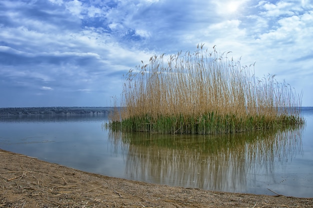 Paesaggio dell'isola nel mezzo del lago