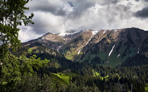 Paesaggio della bellissima valle di montagna