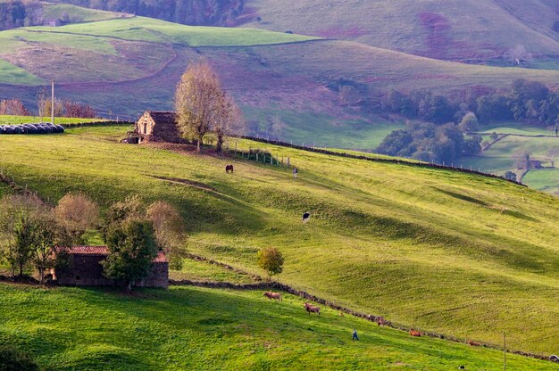 Paesaggio della campagna rurale della Val Passiria