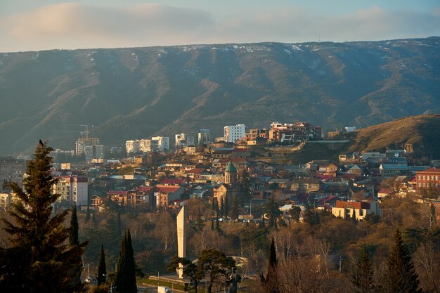 Paesaggio della città, architettura di Tbilisi. La capitale della Georgia. Grande città negli altopiani.