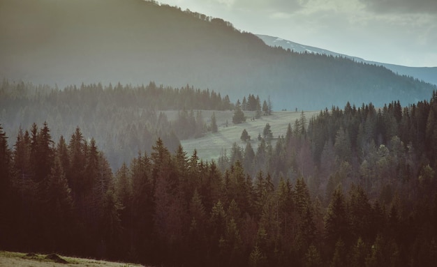 Paesaggio della collina con covoni di fieno nelle grandi montagne in primavera nella giornata nuvolosa