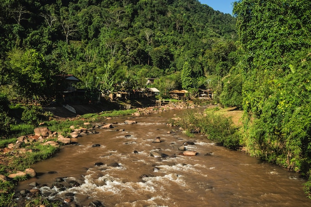 Paesaggio della corrente nella provincia di Nan Tailandia