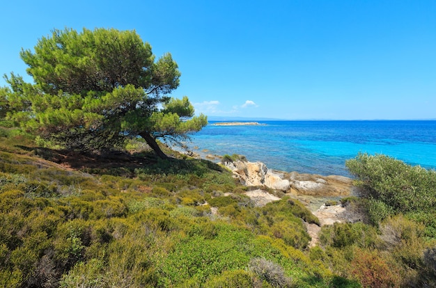 Paesaggio della costa del Mar Egeo, vista vicino alla spiaggia di Karidi (Calcidica, Grecia).