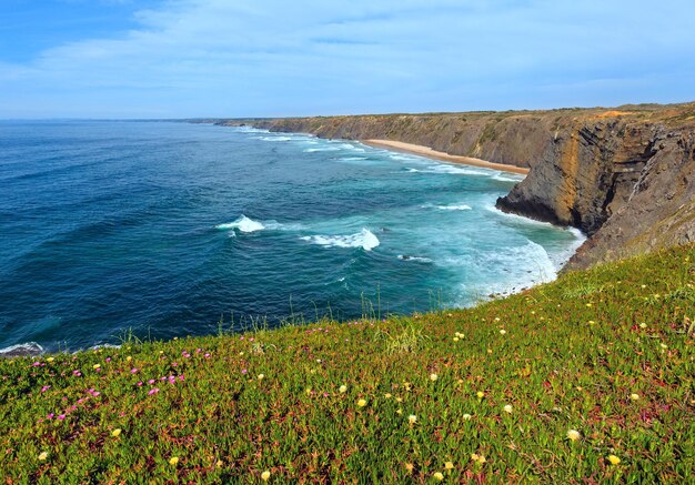 Paesaggio della costa dell'Oceano Atlantico in fiore (capo Ponta Da Arrifana, Aljezur, Algarve, Portogallo).