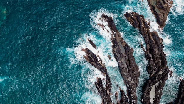 Paesaggio della costa dell'oceano