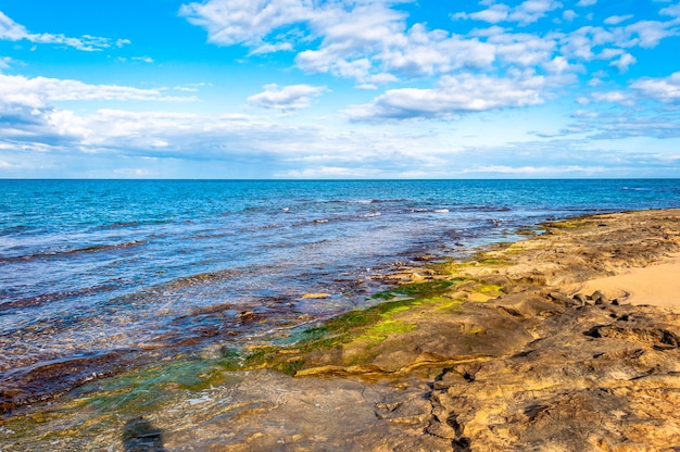 Paesaggio della costa in inverno