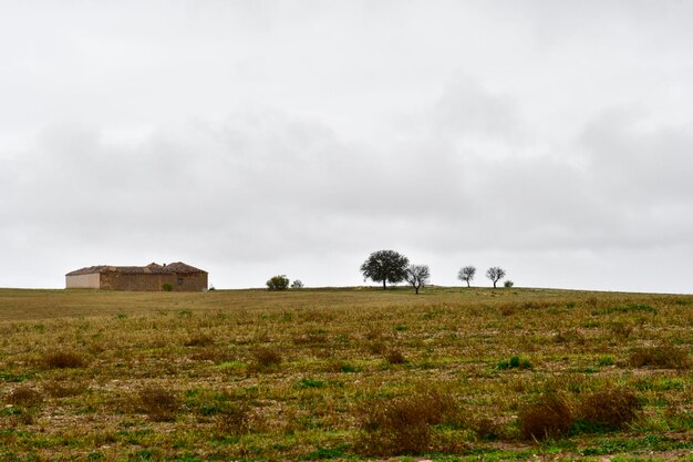 Paesaggio della dehesa cerealistica delle montagne orientali di Granada - Spagna