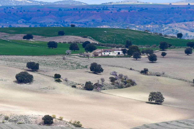 Paesaggio della dehesa cerealistica delle montagne orientali di Granada - Spagna