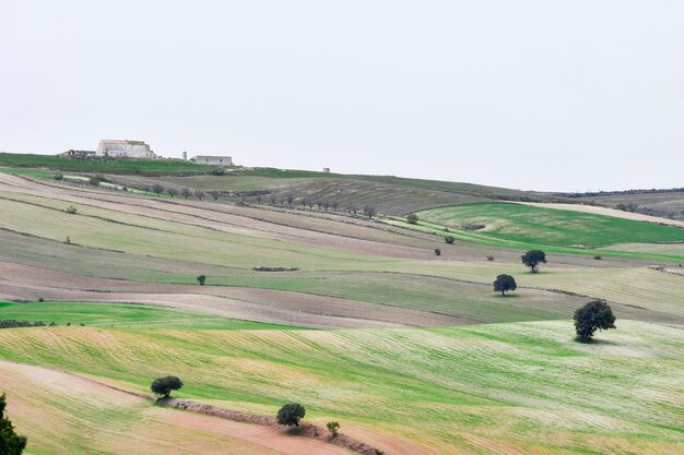 Paesaggio della dehesa cerealistica delle montagne orientali di Granada - Spagna