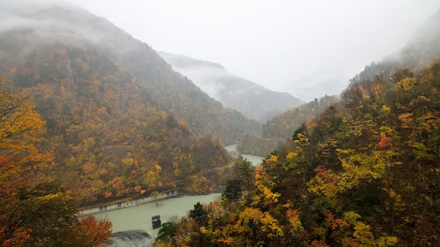 Paesaggio della foresta autunnale con vista sulla valle nebbiosa della montagna e sul fiume in giappone