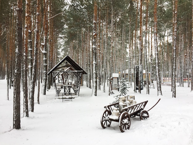 Paesaggio della foresta di inverno neve pino con carrello