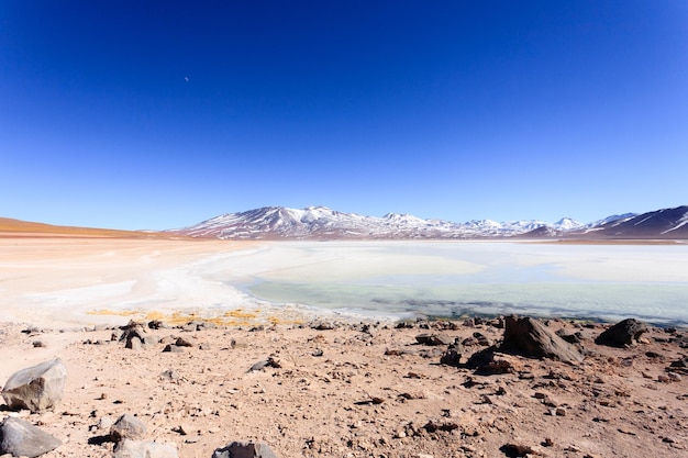 Paesaggio della Laguna BlancaBolivia Bellissimo panorama boliviano Laguna bianca e vulcano Licancabur