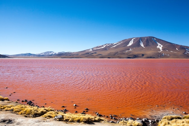 Paesaggio della Laguna Colorada, Bolivia. Bellissimo panorama boliviano. Laguna di acqua rossa