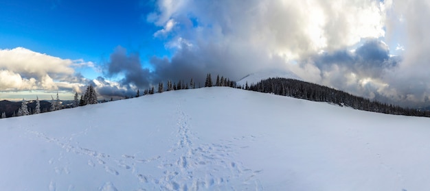 Paesaggio della montagna di inverno con i pini innevati