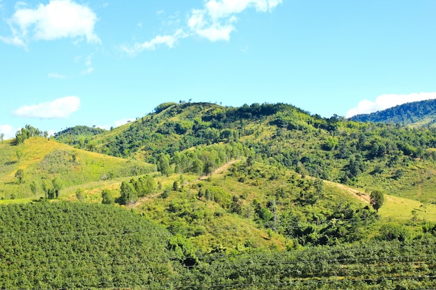 Paesaggio della montagna di strato, Phetchabun, Tailandia