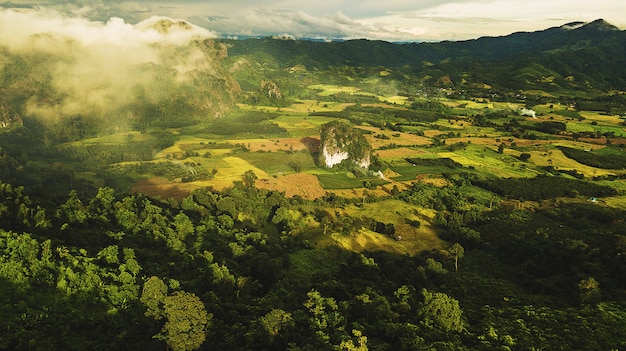 Paesaggio della montagna Forest Park di Phu Lanka nella provincia Tailandia di Phayao.