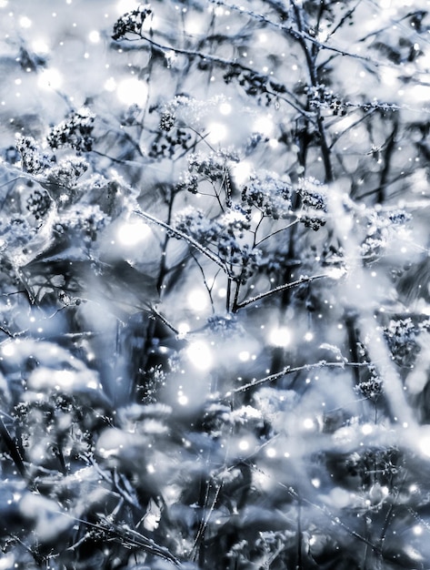 Paesaggio della natura del fondo delle vacanze invernali con neve brillante e freddo nel periodo natalizio