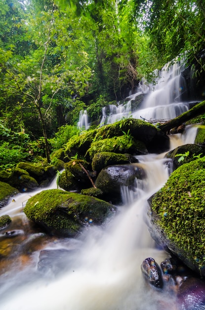 Paesaggio della natura della cascata nascosto nella foresta