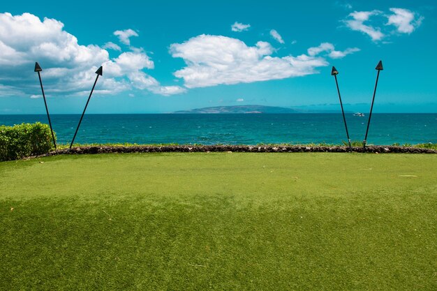 Paesaggio della natura nella spiaggia tropicale delle hawaii con la palma in mare cristallino