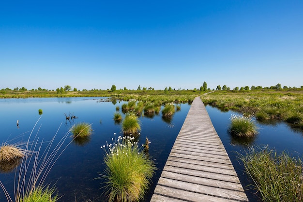 Paesaggio della palude di Hautes Fagnes con il lago in primavera