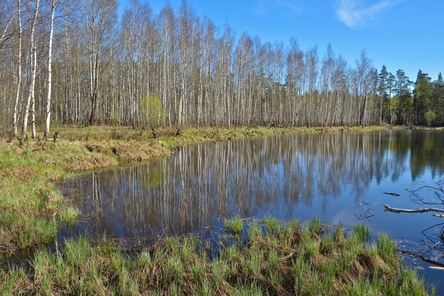 Paesaggio della sorgente d'acqua