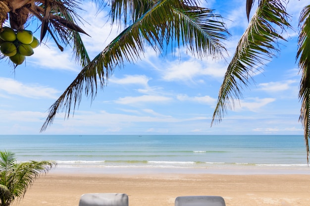 Paesaggio della spiaggia con albero di cocco