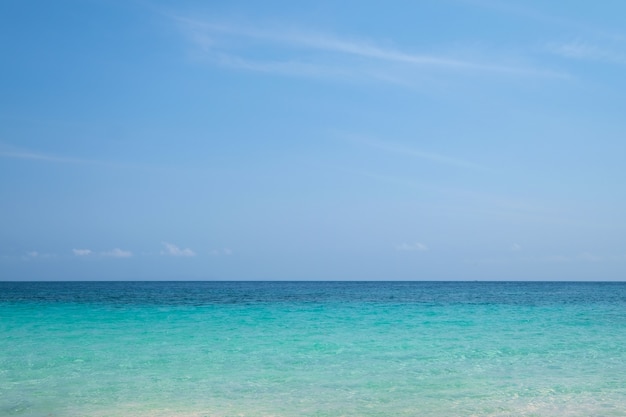 Paesaggio della spiaggia di sabbia del sole del mare sotto cielo blu con il ramo verde della foglia dell&#39;albero