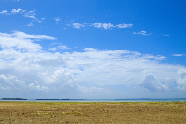 Paesaggio della spiaggia di Zanzibar, panorama della Tanzania, Africa