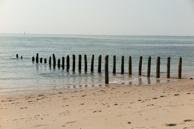 Paesaggio della spiaggia e dell'oceano delle dune all'alba